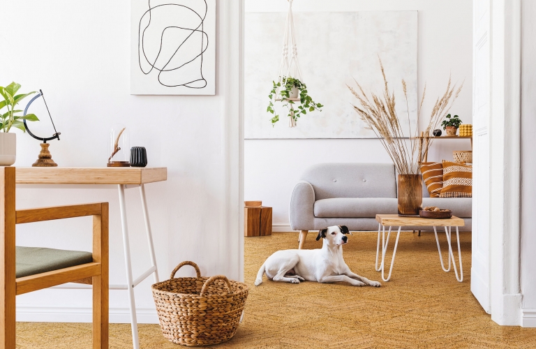 Natural Cork Flooring | Wicanders